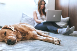 Se créer un espace solo dans une maison partagée