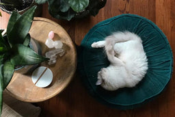 Cristaux pour le sommeil : 7 pierres pour vous mettre en sommeil paradoxal