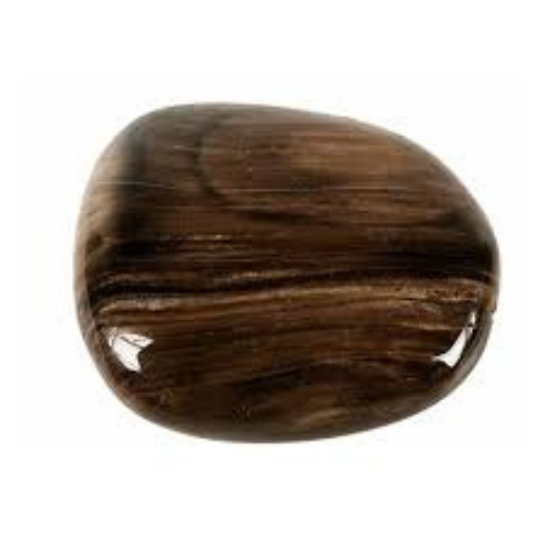 Pierre Bois Pétrifié